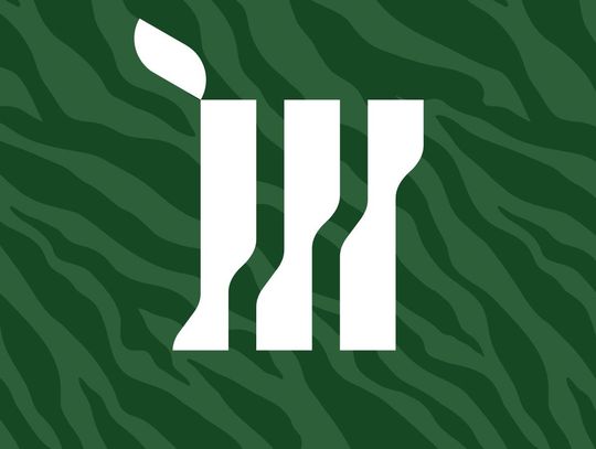 Hurtownia florystyczna - pm-m.pl