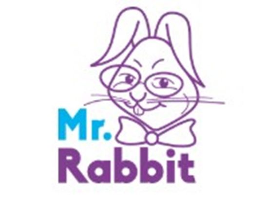 Półkolonie MR. RABBIT American Camp Toruń