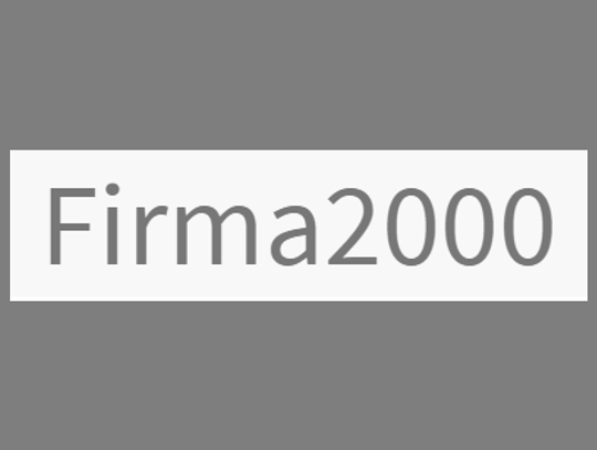 Pozycjonowanie 2000 - firma SEO