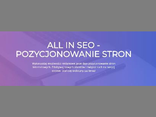 Pozycjonowanie stron ALL IN SEO