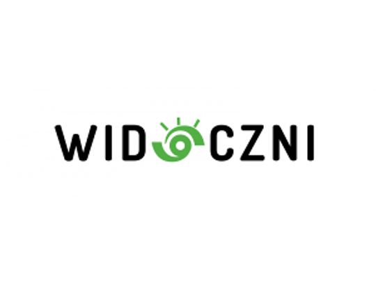 Pozycjonowanie stron - Widoczni