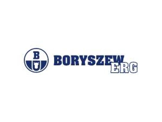 Produkty wirusobójcze - Boryszew ERG