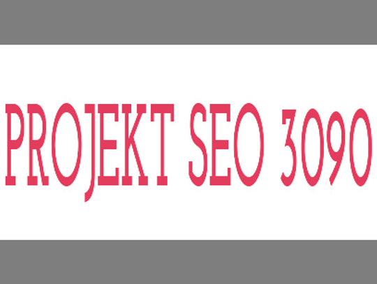 Projekt Pozycjonowanie stron SEO 3090