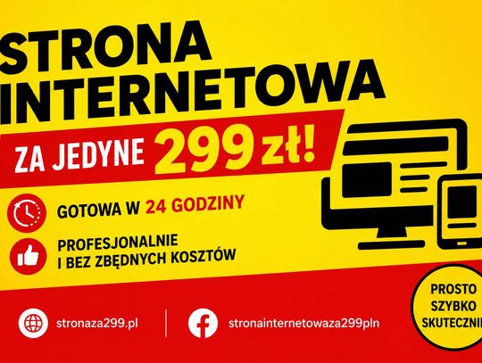 Projektowanie stron internetowych dla sklepów od 299 pln