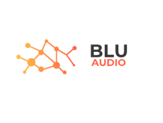 Serwis technologiczny AGD i RTV - blu-audio.pl