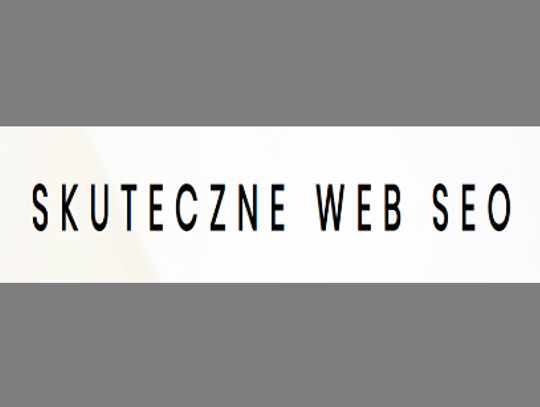 Skuteczne WEB SEO - pozycjonowanie stron www