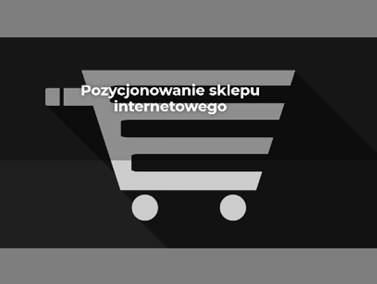 Teraz SEO - pozycjonowanie stron