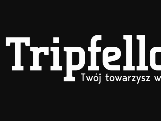 Tripfellow - wypożyczalnia busów osobowych