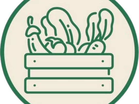 Wygodny Warzywniak | Sklep Owocowo-Warzywny Warszawa | Mrówcza