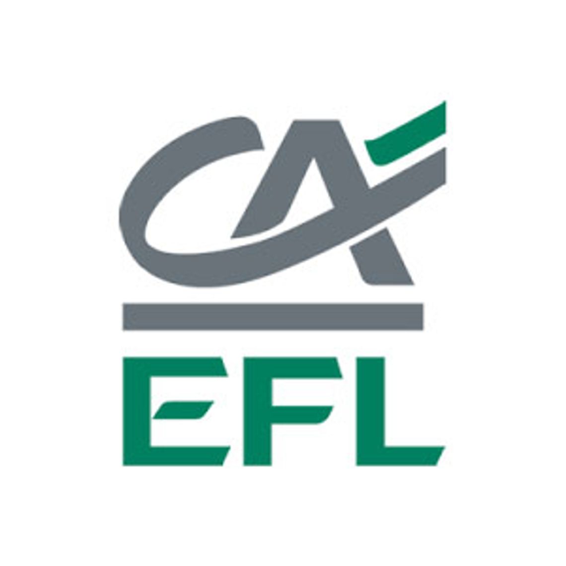EFL Leasing Samochodowy