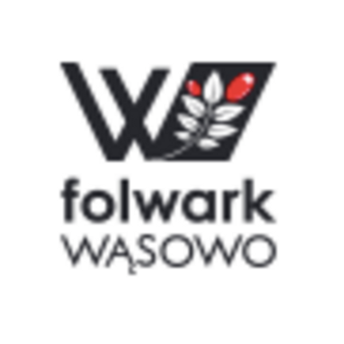 Folwark Wąsowo- WESELA, IMPREZY, NOCLEGI WIELKOPOLSKA