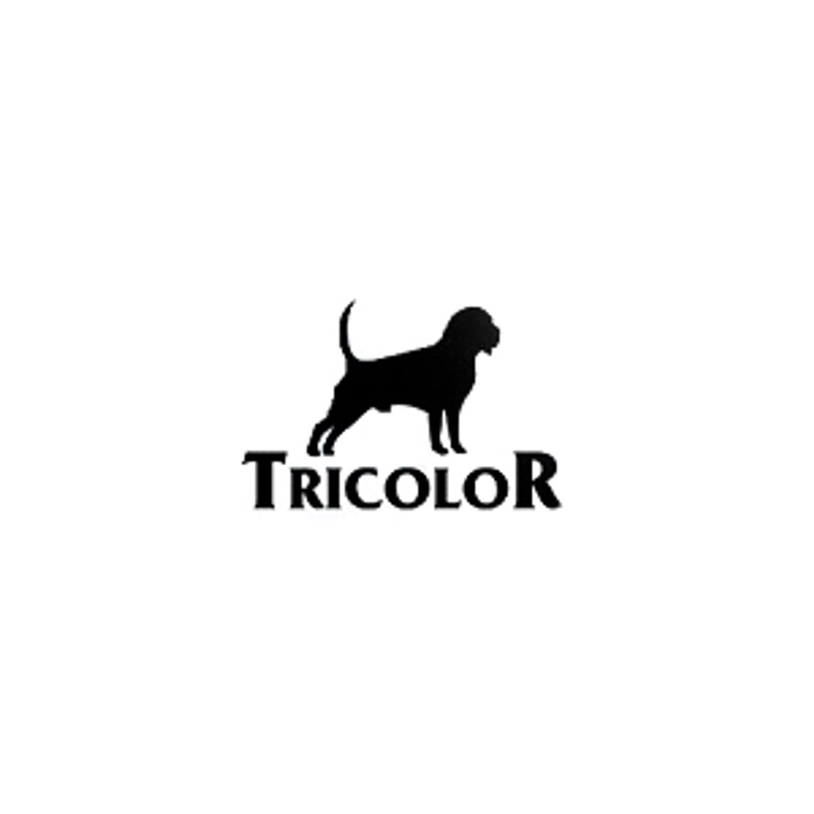 Sklep zoologiczny - Tricolor