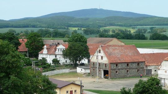 Oleszna, widok z wieży kościoła. 